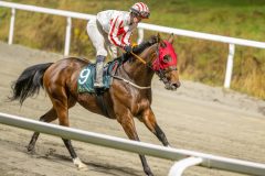 20251106-205112-DSC_5740