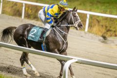 20251106-205210-DSC_5874