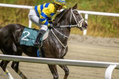 20251106-205211-DSC_5882