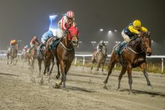 20251106-205855-DSC_0797