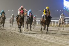 20251106-205942-DSC_5952