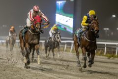 20251106-205943-DSC_5966