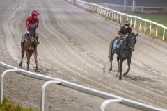 20251106-211623-DSC_6093