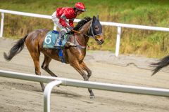 20251106-211626-DSC_6124