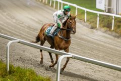 20251106-211710-DSC_6240