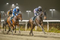 20251106-212121-DSC_0820