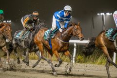 20251106-212122-DSC_0822