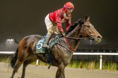 20251106-212302-DSC_0852