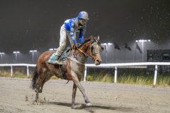 20251106-212305-DSC_0858