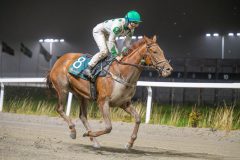 20251106-212306-DSC_0863