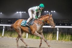 20251106-212306-DSC_0864