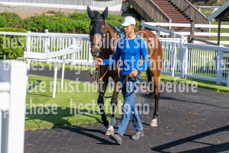 20250710-180315-DSC_0447