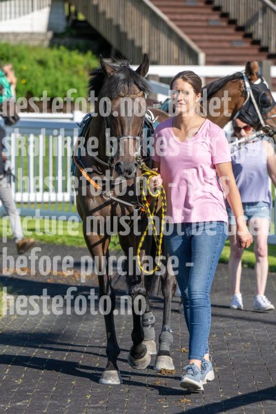 20250710-180409-DSC_0501