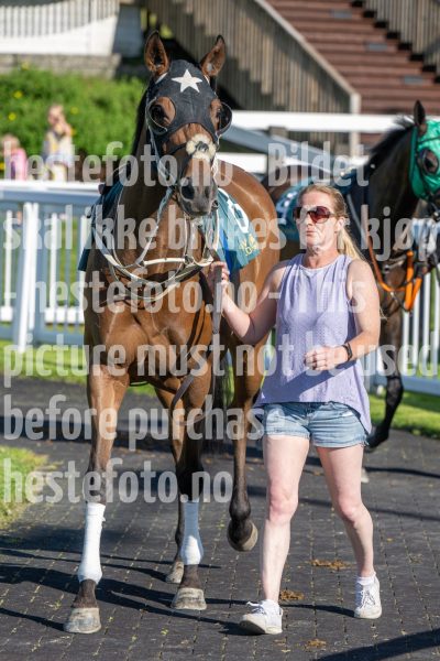 20250710-180412-DSC_0518