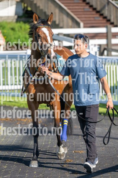 20250710-180436-DSC_0582