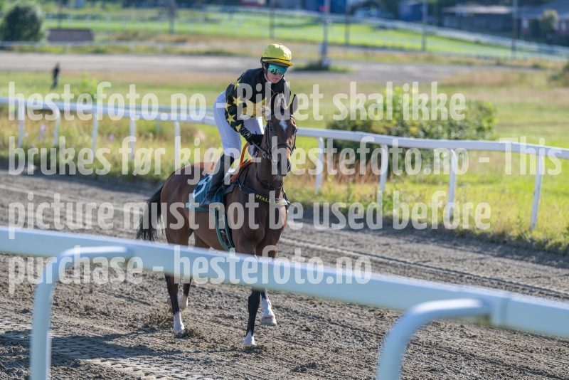 20250710-181221-DSC_0908