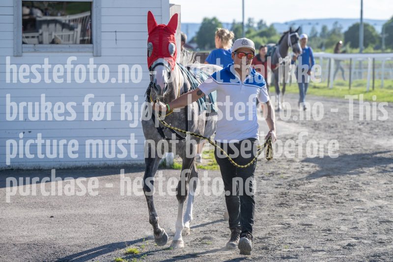 20250710-182628-DSC_1265