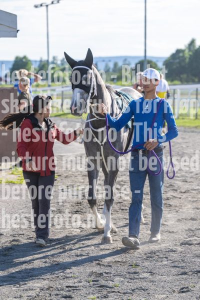 20250710-182642-DSC_1330