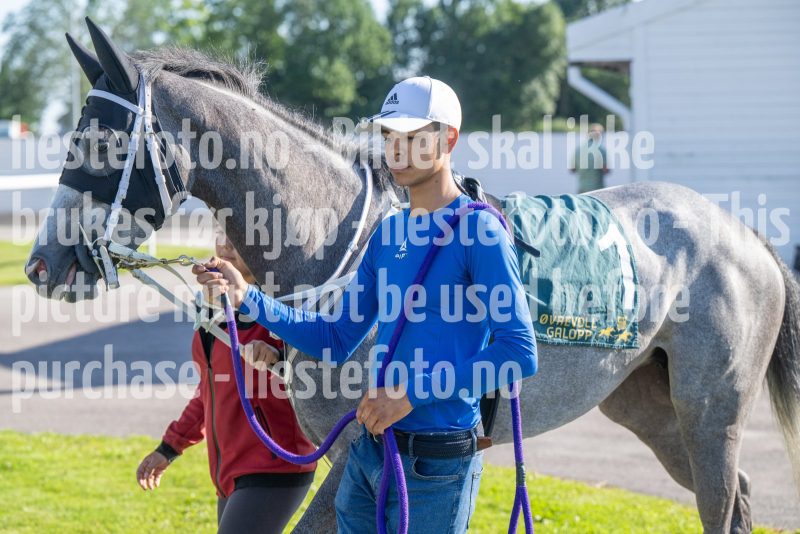 20250710-182647-DSC_1350