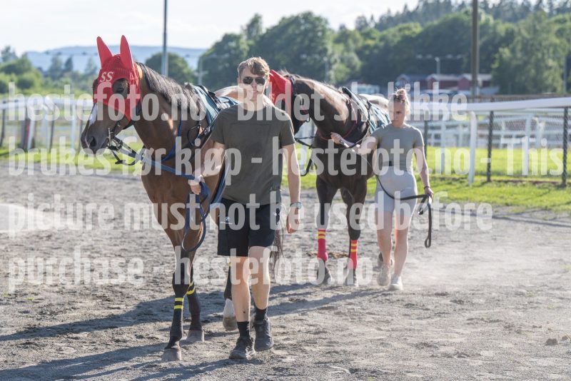 20250710-182847-DSC_1362