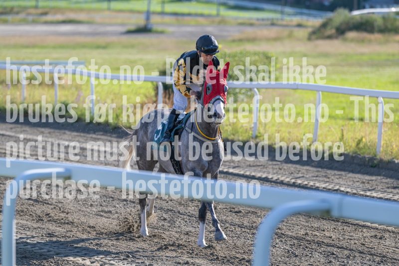 20250710-183905-DSC_1994