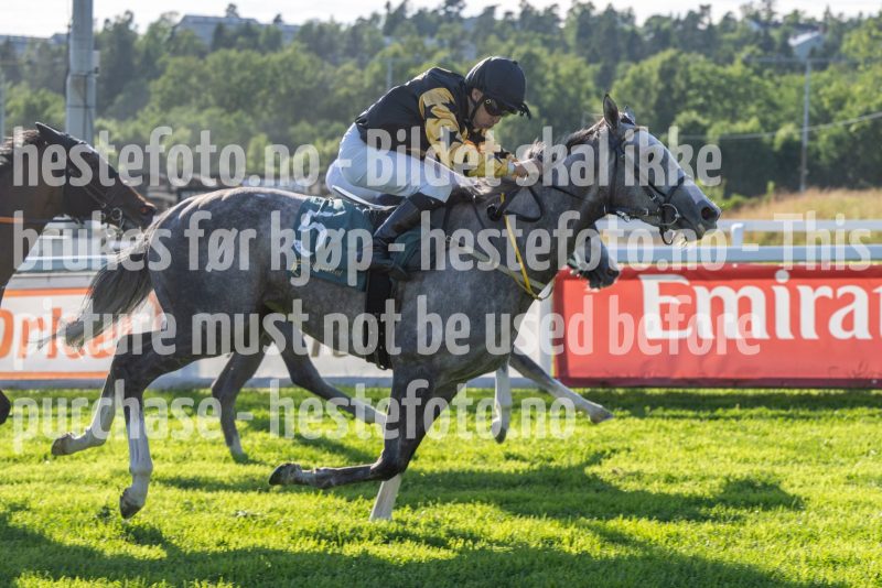 20250710-184519-DSC_2145