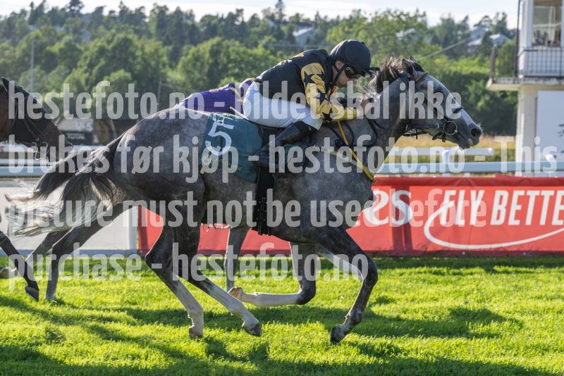 20250710-184519-DSC_2147