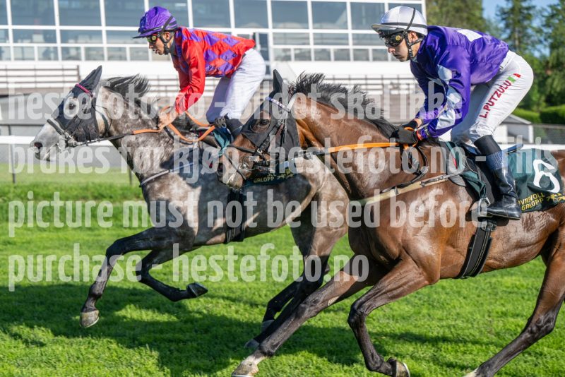 20250710-190821-DSC_3338