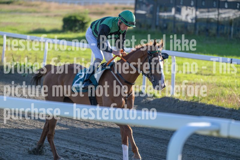 20250710-195039-DSC_3956