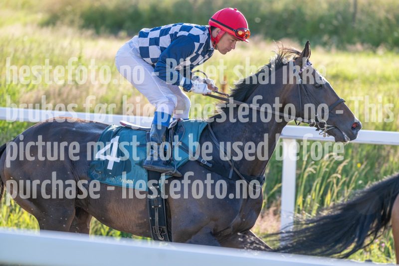 20250710-195048-DSC_4017