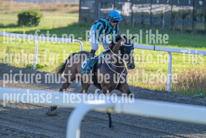 20250710-195211-DSC_4216