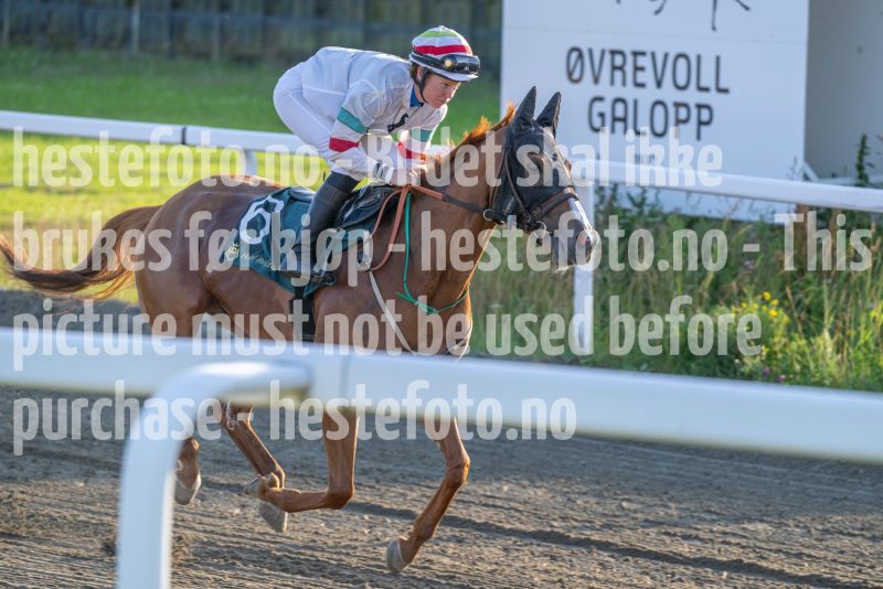 20250710-201641-DSC_4780