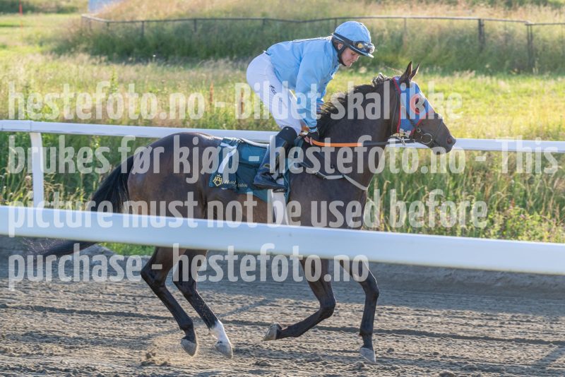 20250710-201747-DSC_5021