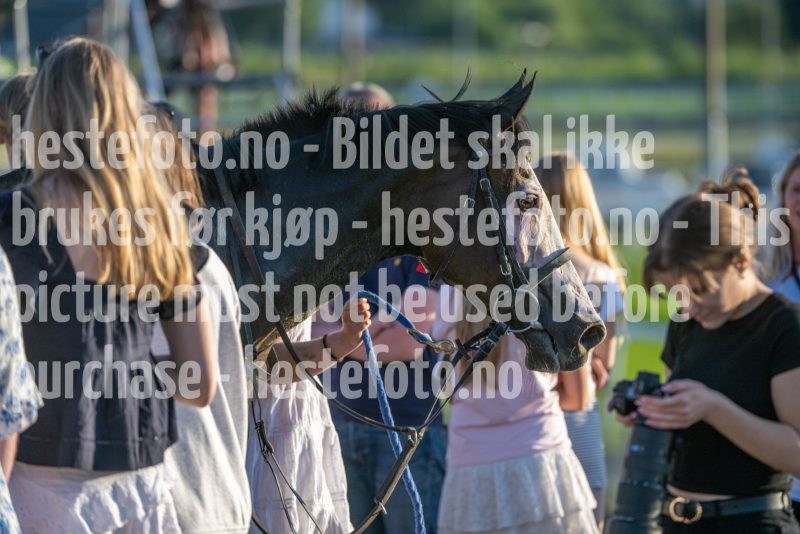20250710-203058-DSC_5919