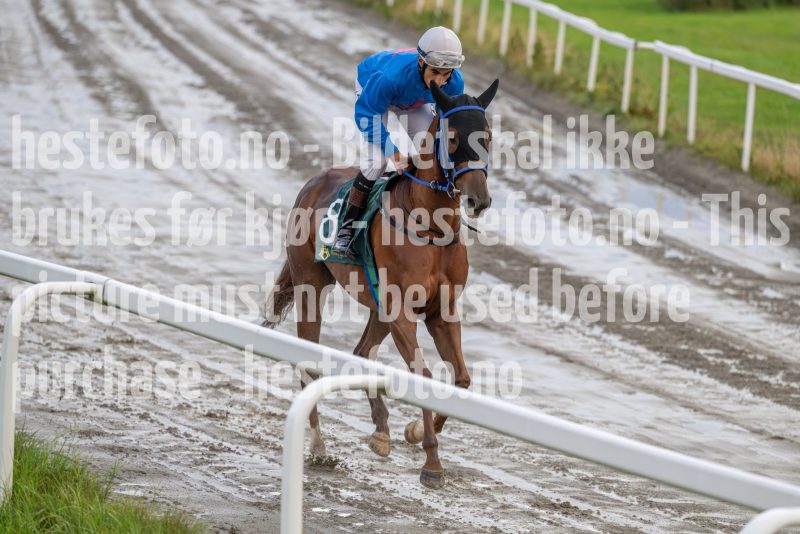 20250911-190027-DSC_7678