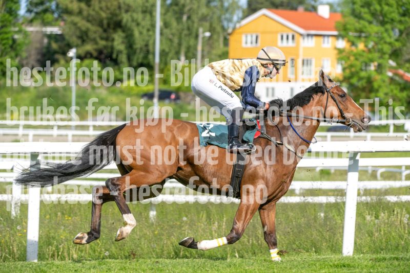20250612-181841-DSC_3170