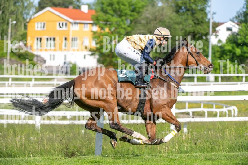 20250612-181841-DSC_3172