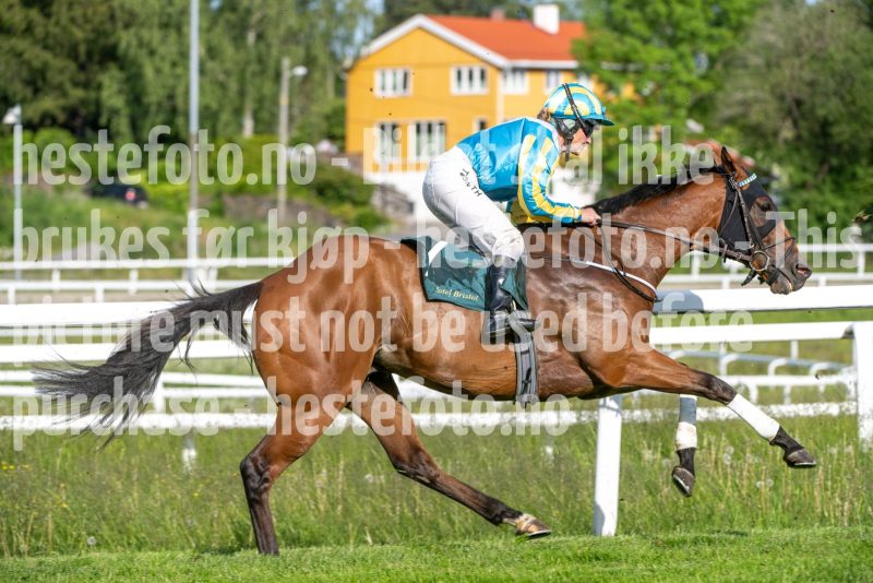 20250612-181842-DSC_3187