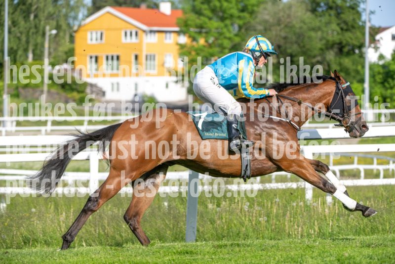 20250612-181842-DSC_3188