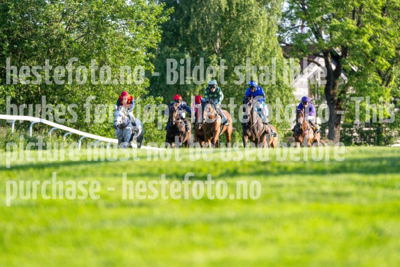 20250612-202328-DSC_4562