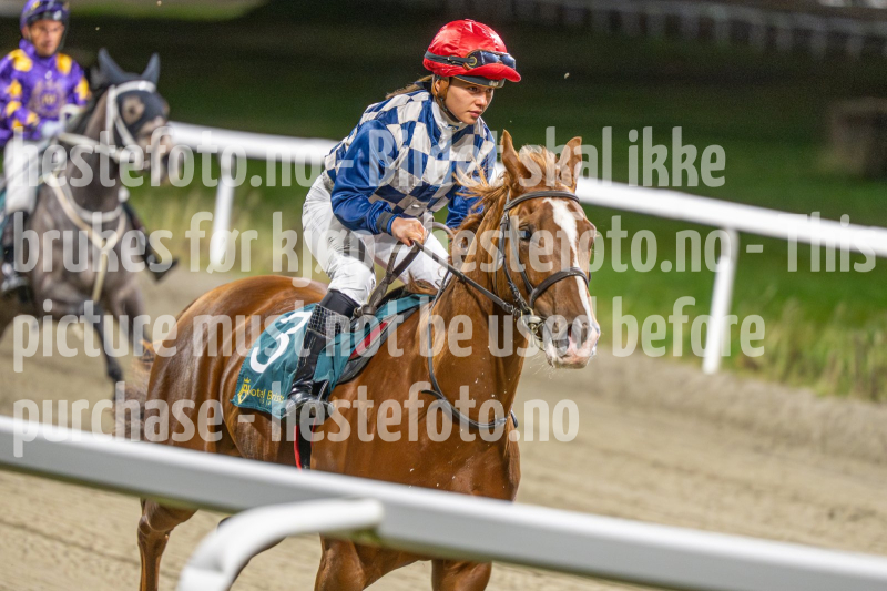 20251113-184650-DSC_0885