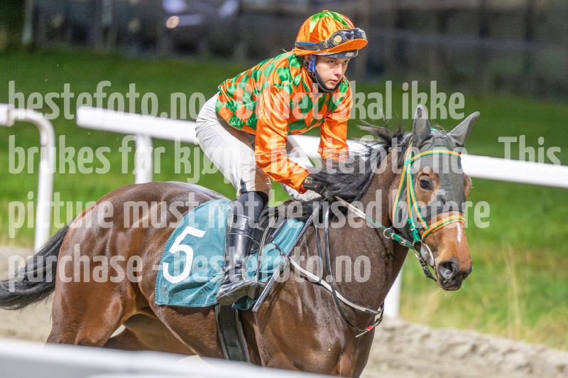 20251113-184702-DSC_0898