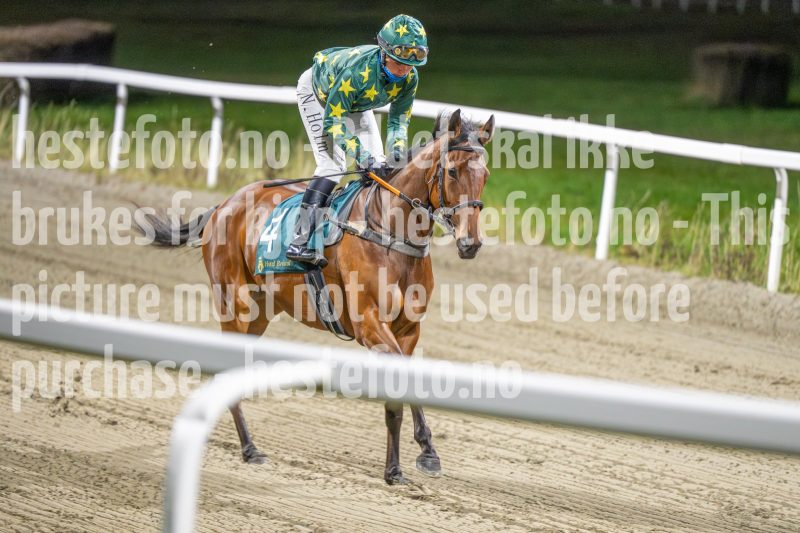 20251113-184712-DSC_0903