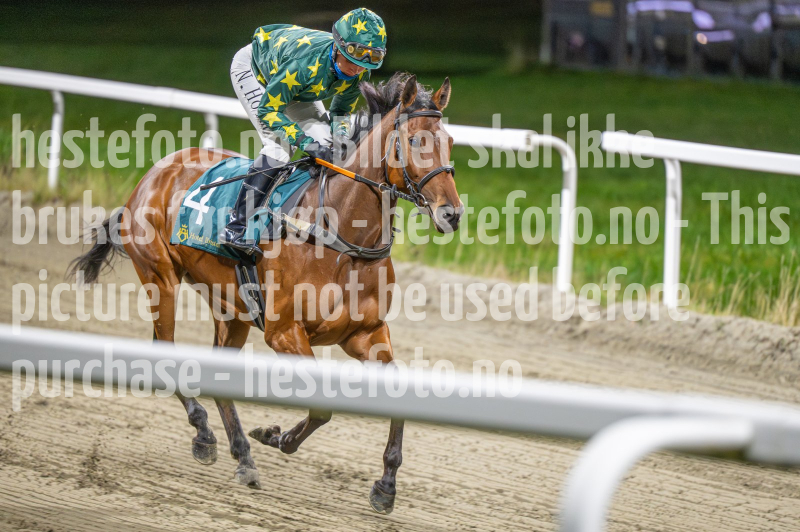 20251113-184712-DSC_0906