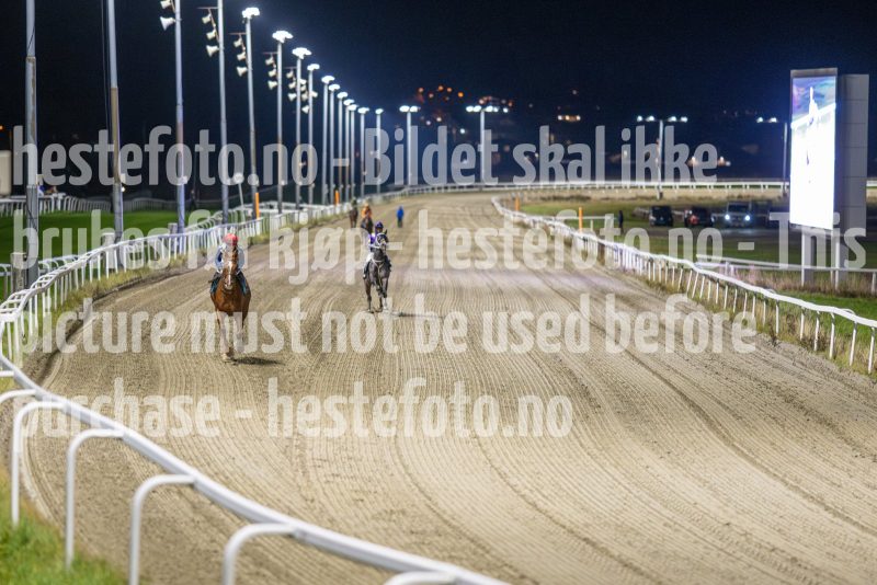 20251113-184737-DSC_8431