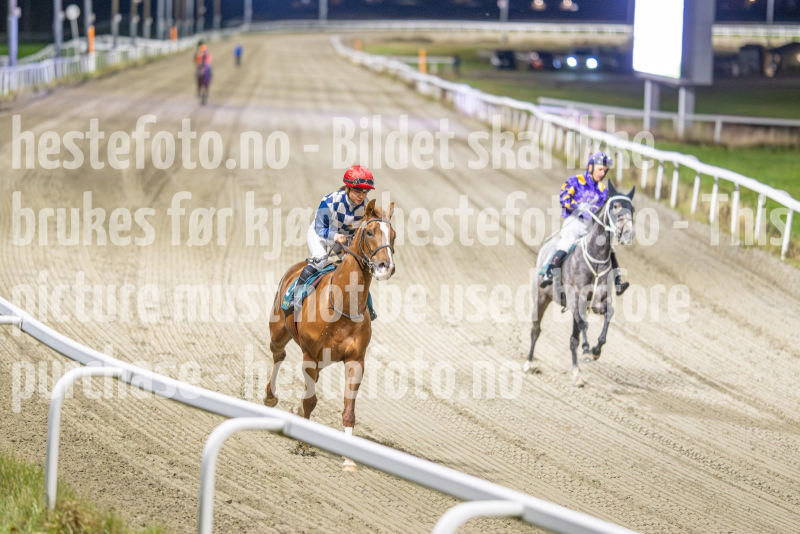 20251113-184741-DSC_8443