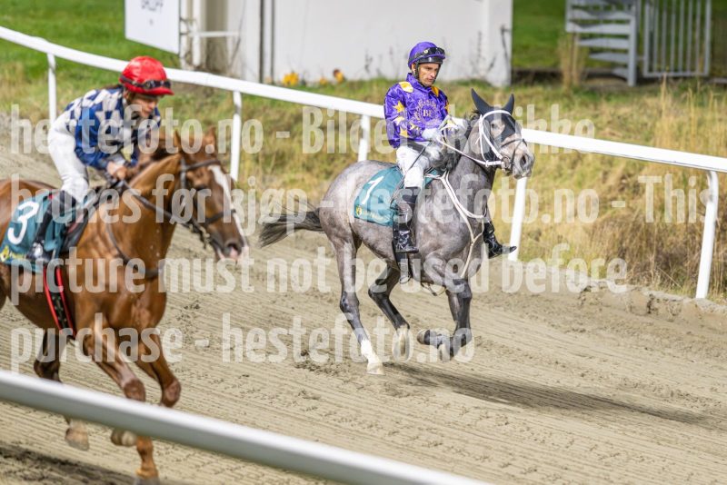 20251113-184742-DSC_8457