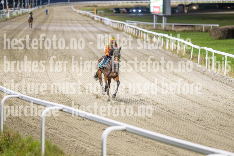 20251113-184752-DSC_8488