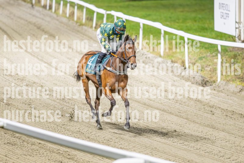 20251113-184803-DSC_8518