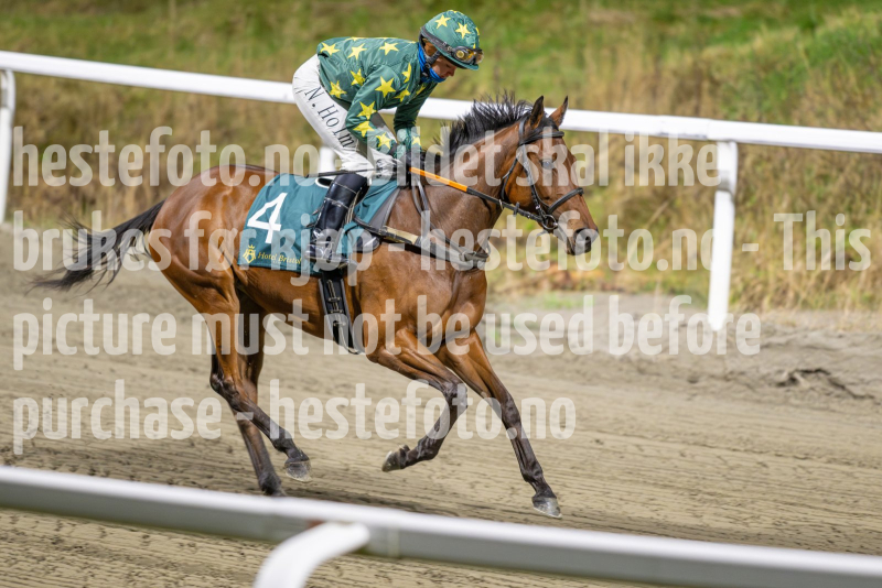 20251113-184805-DSC_8530